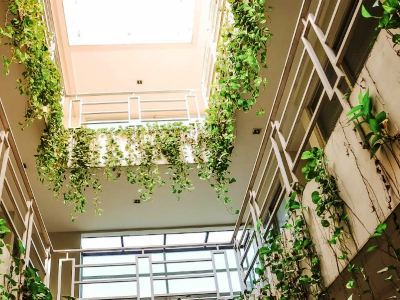 Gasthuis Legreen Tondano Jakarta