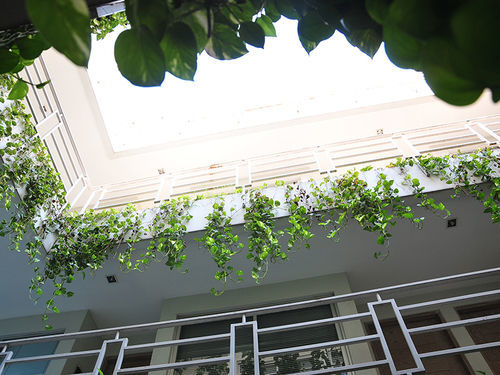 Gasthuis Legreen Tondano Jakarta