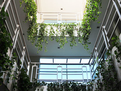 Gasthuis Legreen Tondano